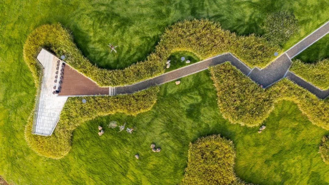 1571624974126199.jpg 1.jpg