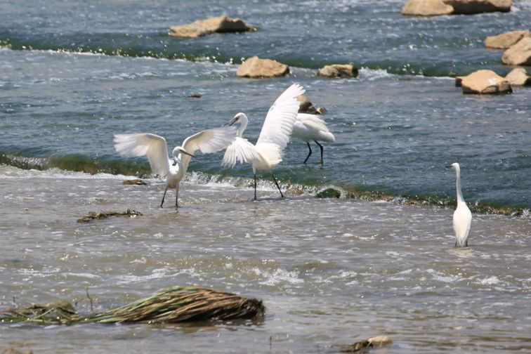 1585558880644185.png 深圳3.png