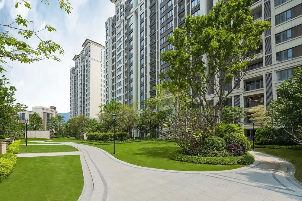 1594951975109145.jpg 1594951975109145.jpg