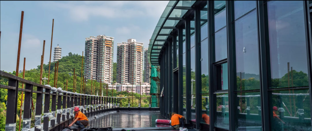 1604562241778229.jpg 1604562241778229.jpg