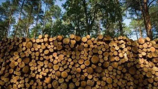 1621823751557993.png 1621823751557993.png