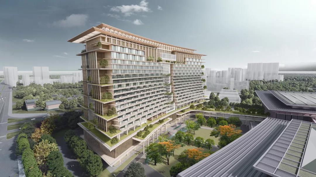 1623379116916361.jpg 1623379116916361.jpg